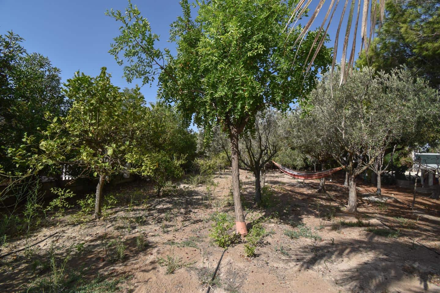 2 soveværelse Finca/Landehus til salg i Daimes med swimmingpool garage - € 189.900 (Ref: 9164833)