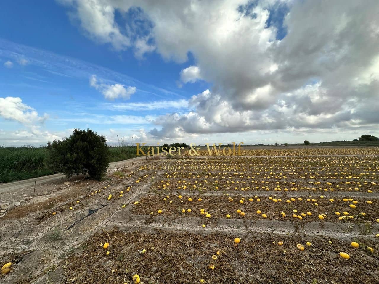 2 soveværelse Finca/Landehus til salg i Elche / Elx - € 160.000 (Ref: 9207701)