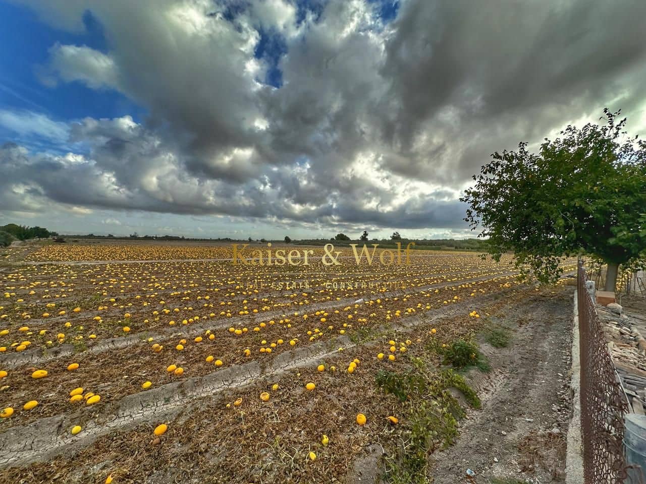 2 soveværelse Finca/Landehus til salg i Elche / Elx - € 160.000 (Ref: 9207701)