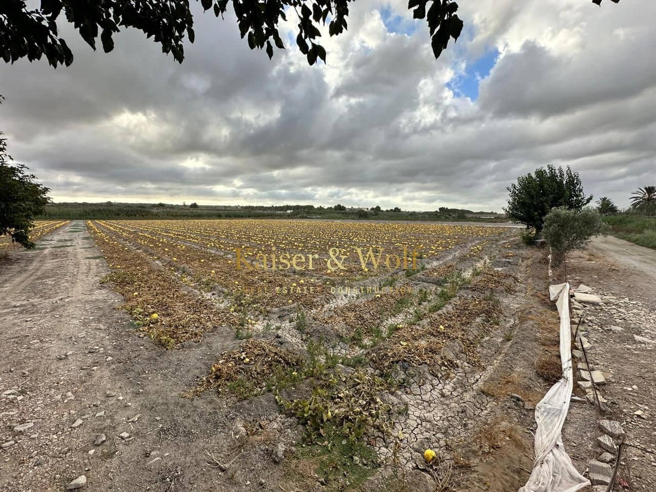 2 soveværelse Finca/Landehus til salg i Elche / Elx - € 160.000 (Ref: 9207701)