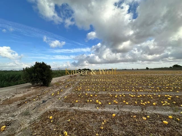 2 camera da letto Finca/Casa di Campagna in vendita in La Marina, Elche / Elx - 160.000 € (Rif: 9207701)