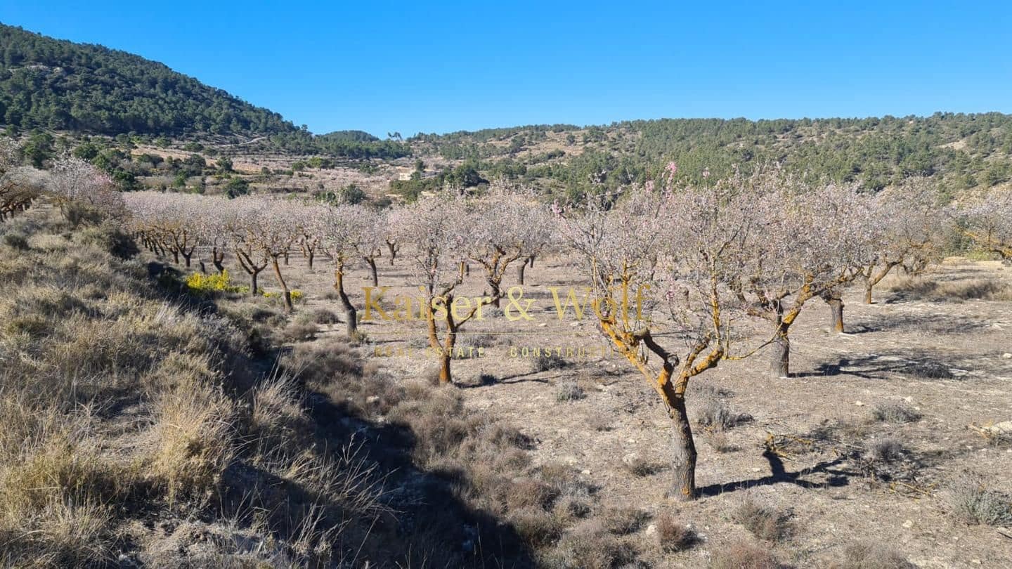 4 bedroom Finca/Country House for sale in Onil - € 489,000 (Ref: 9311574)