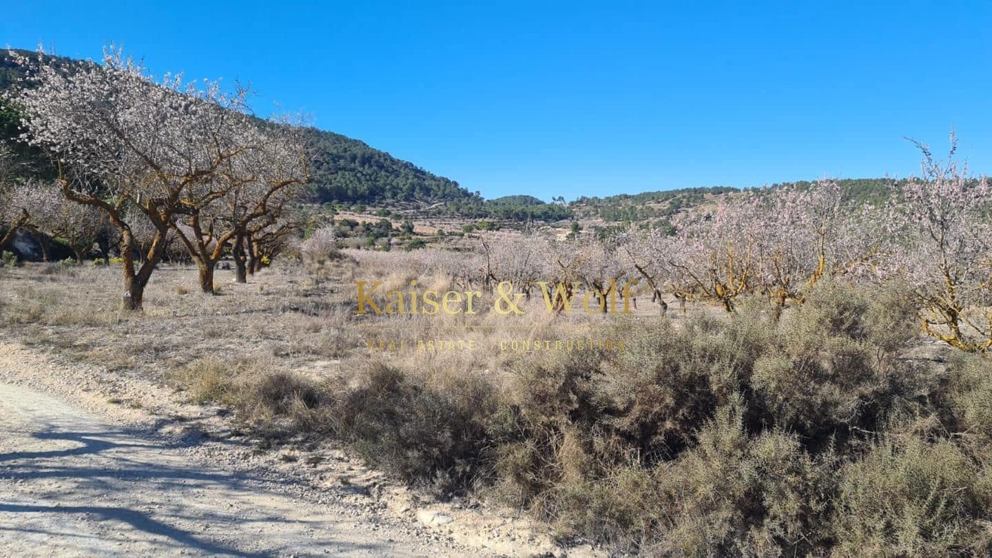 4 bedroom Finca/Country House for sale in Onil - € 489,000 (Ref: 9311574)