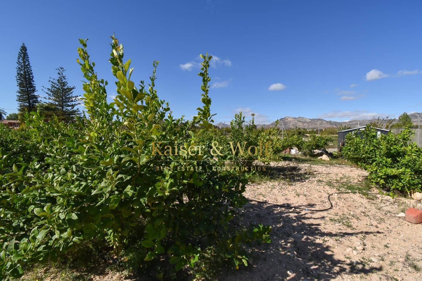 4 bedroom Finca/Country House for sale in Albatera with pool - € 330,000 (Ref: 9372312)