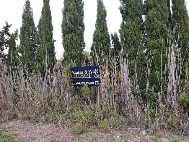 Terre non Aménagée à vendre à Las Bayas, Elche / Elx - 50 000 € (Ref: 9388722)