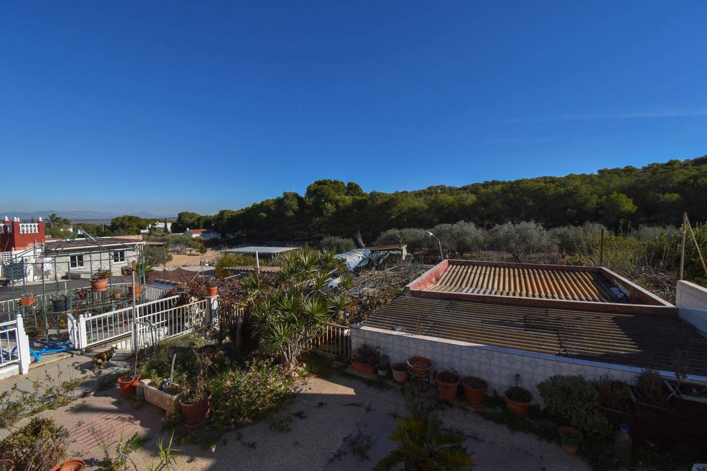 4 camera da letto Finca/Casa di Campagna in vendita in La Marina con piscina - 210.000 € (Rif: 9473536)
