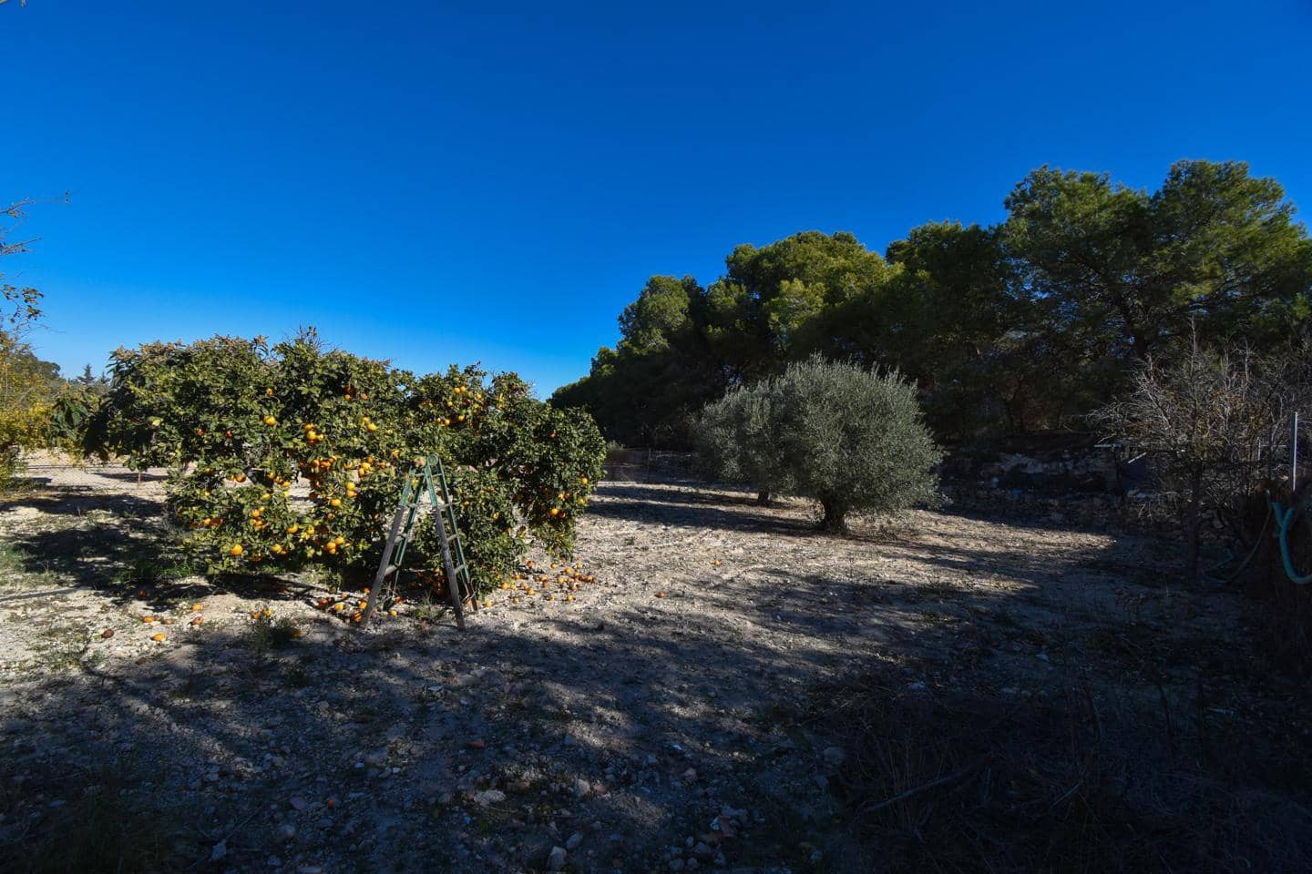 4 camera da letto Finca/Casa di Campagna in vendita in La Marina con piscina - 210.000 € (Rif: 9473536)