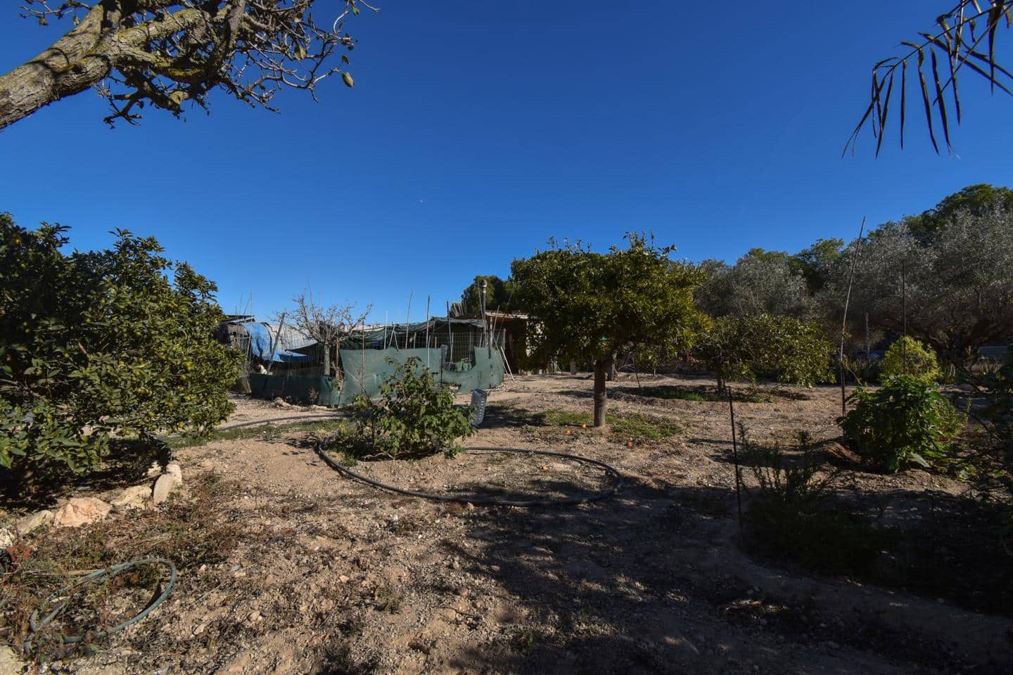 4 camera da letto Finca/Casa di Campagna in vendita in La Marina con piscina - 210.000 € (Rif: 9473536)