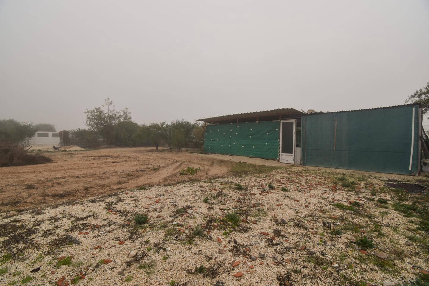 2 chambre Finca/Maison de Campagne à vendre à Elche / Elx - 115 000 € (Ref: 9517976)