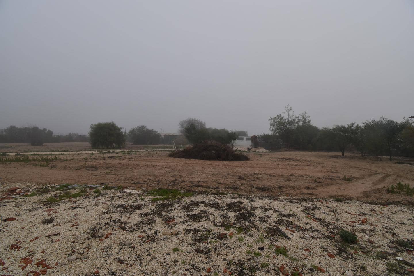 2 chambre Finca/Maison de Campagne à vendre à Elche / Elx - 115 000 € (Ref: 9517976)