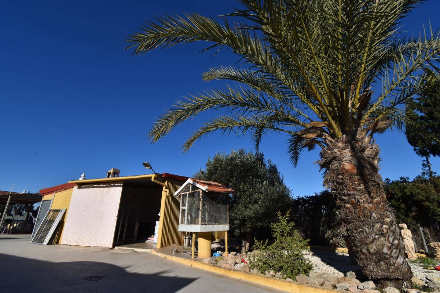 1 makuuhuone Maalaistalo myytävänä paikassa Elche / Elx mukana uima-altaan - 220 000 € (Ref: 9588313)