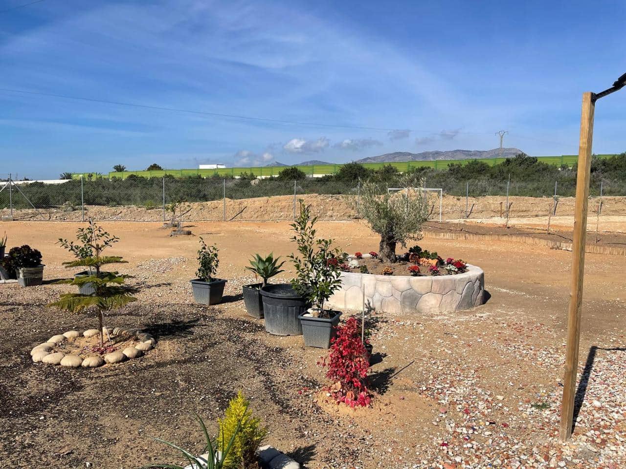 Undeveloped Land for sale in Elche / Elx - € 79,900 (Ref: 9736148)