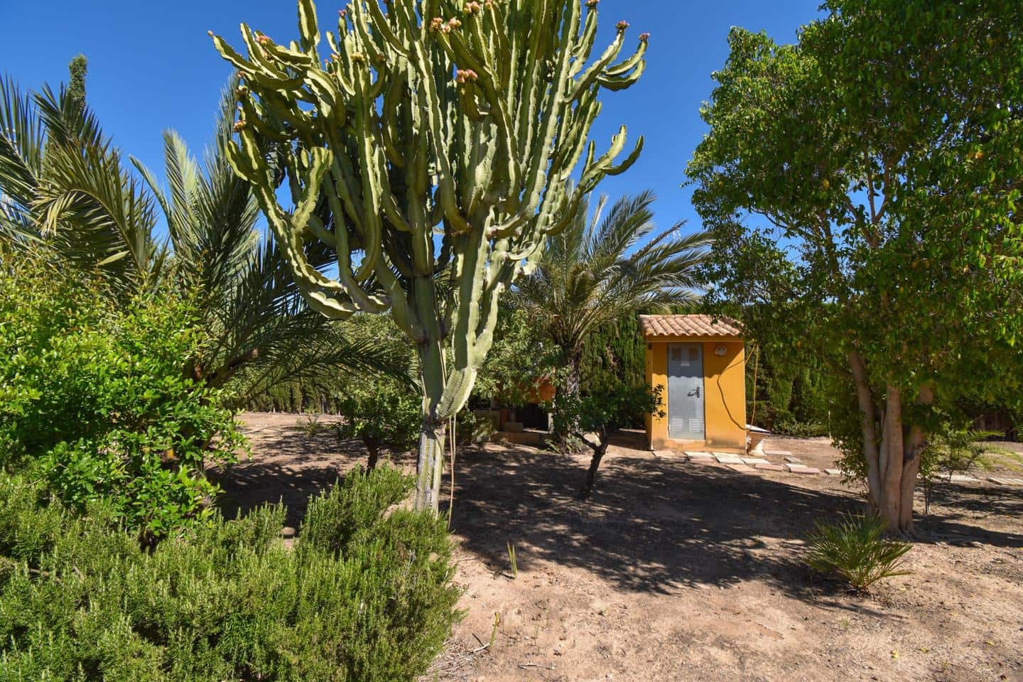 6 bedroom Villa for sale in Elche / Elx with pool garage - € 680,000 (Ref: 9876882)
