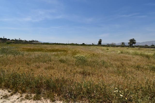 4 soverom Villa til salgs i La Algoda - Matola - El Pla, Elche / Elx med garasje - € 199 000 (Ref: 9984106)
