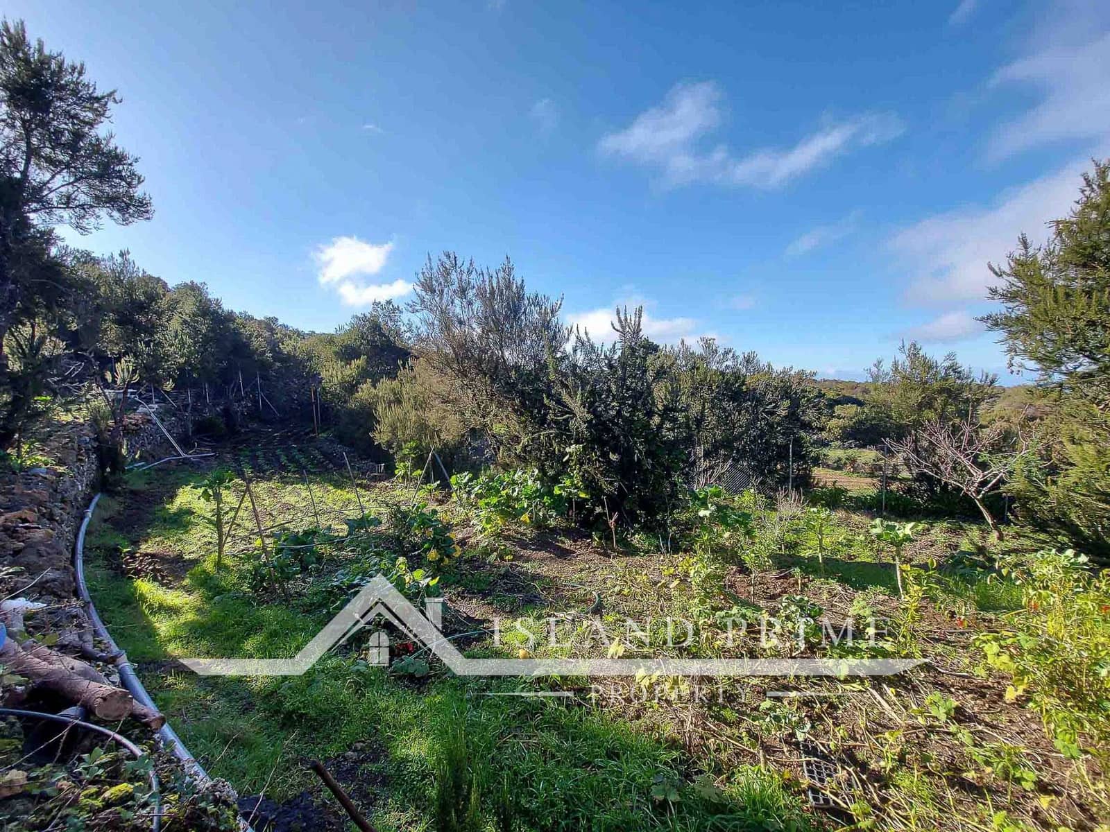 2 sypialnia Finka/Dom wiejski na sprzedaż w El Tanque - 350 000 € (Ref: 9050750)