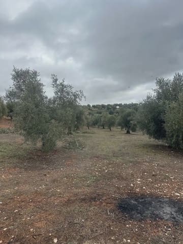 Terreno Non Edificato in vendita in Cogollos Vega - 9.000 € (Rif: 10065263)
