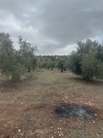 Terreno Non Edificato in vendita in Cogollos Vega - 9.000 € (Rif: 10065263)