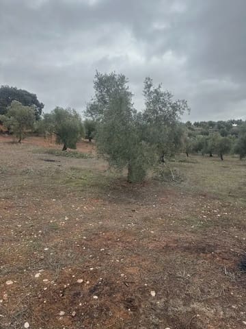 Terreno Non Edificato in vendita in Cogollos Vega - 9.000 € (Rif: 10065263)