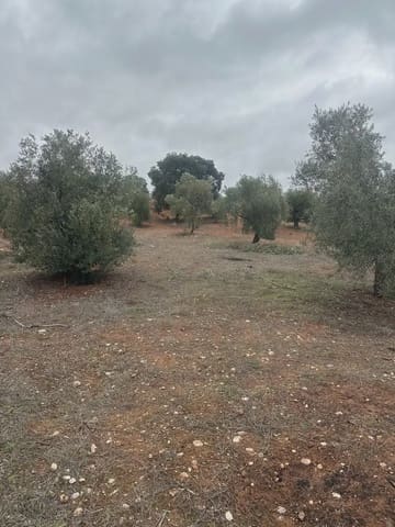 Terreno Non Edificato in vendita in Cogollos Vega - 9.000 € (Rif: 10065263)