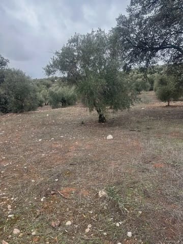 Terreno Non Edificato in vendita in Cogollos Vega - 9.000 € (Rif: 10065263)