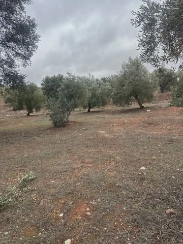 Terreno Non Edificato in vendita in Cogollos Vega - 9.000 € (Rif: 10065263)