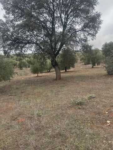 Terreno Non Edificato in vendita in Cogollos Vega - 9.000 € (Rif: 10065263)