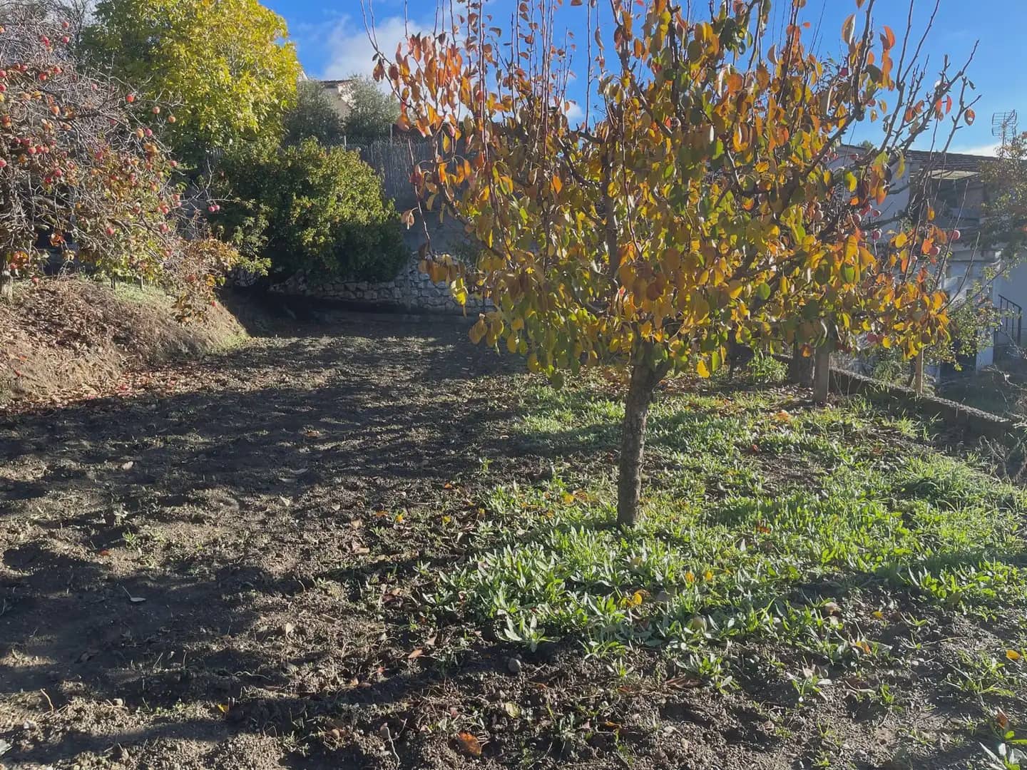 Finca/Landhuis te koop in Huetor Santillan - € 86.000 (Ref: 10065272)