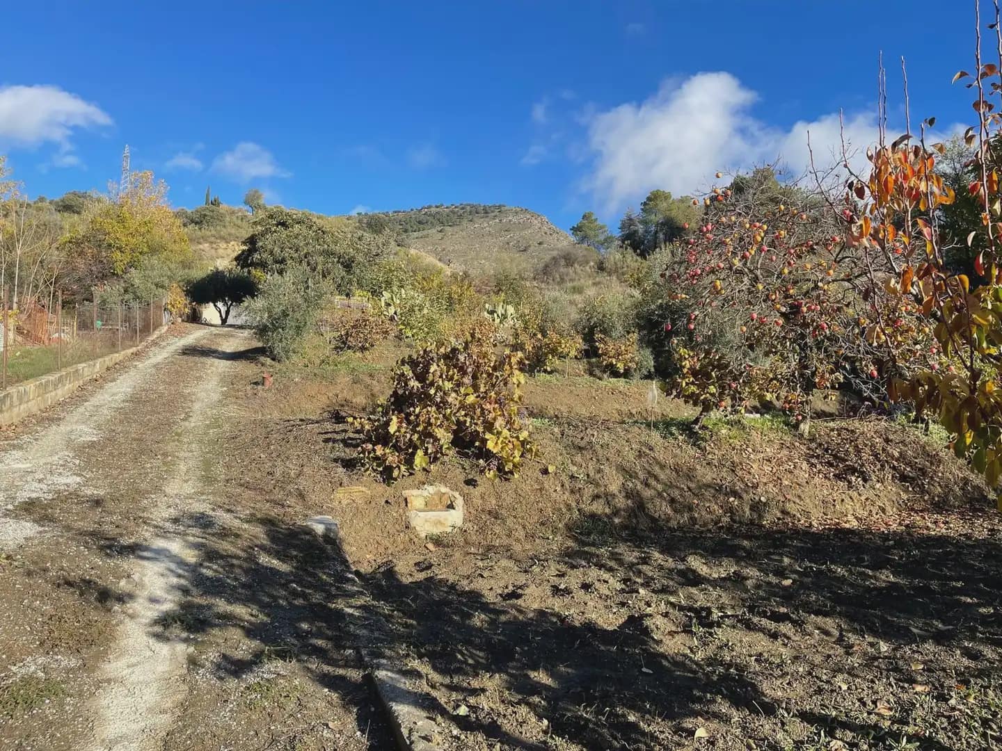 Finca/Landhuis te koop in Huetor Santillan - € 86.000 (Ref: 10065272)