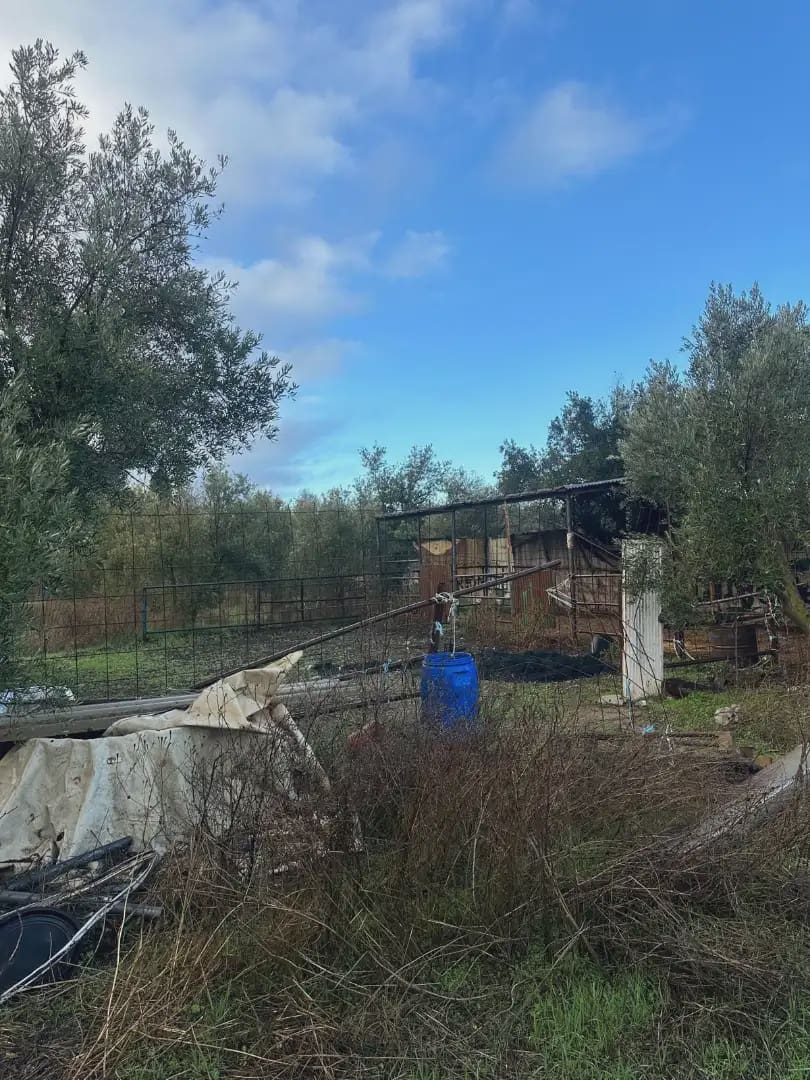 Finca/Herregård til salgs i Otura - € 140 000 (Ref: 10065279)