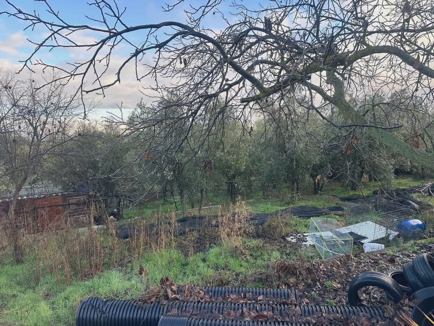 Finca/Herregård til salgs i Otura - € 140 000 (Ref: 10065279)