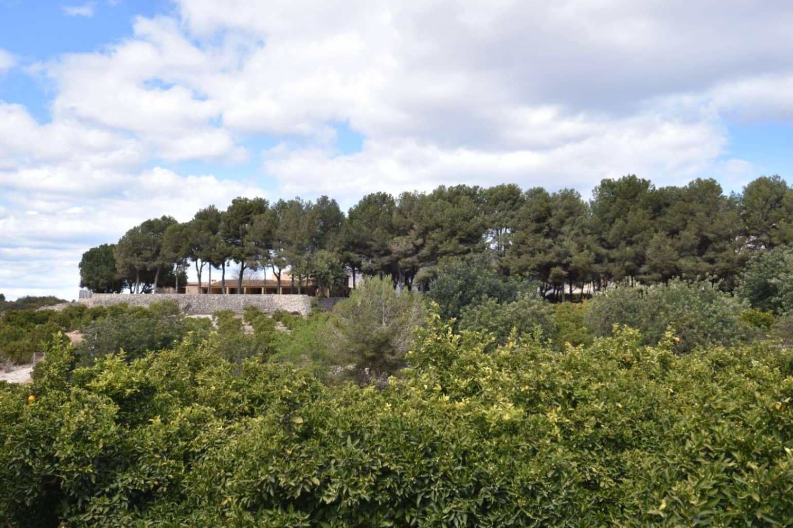 Finca/Casa Rural de 4 habitaciones en Gata de Gorgos en venta con piscina garaje - 2.250.000 € (Ref: 7664151)