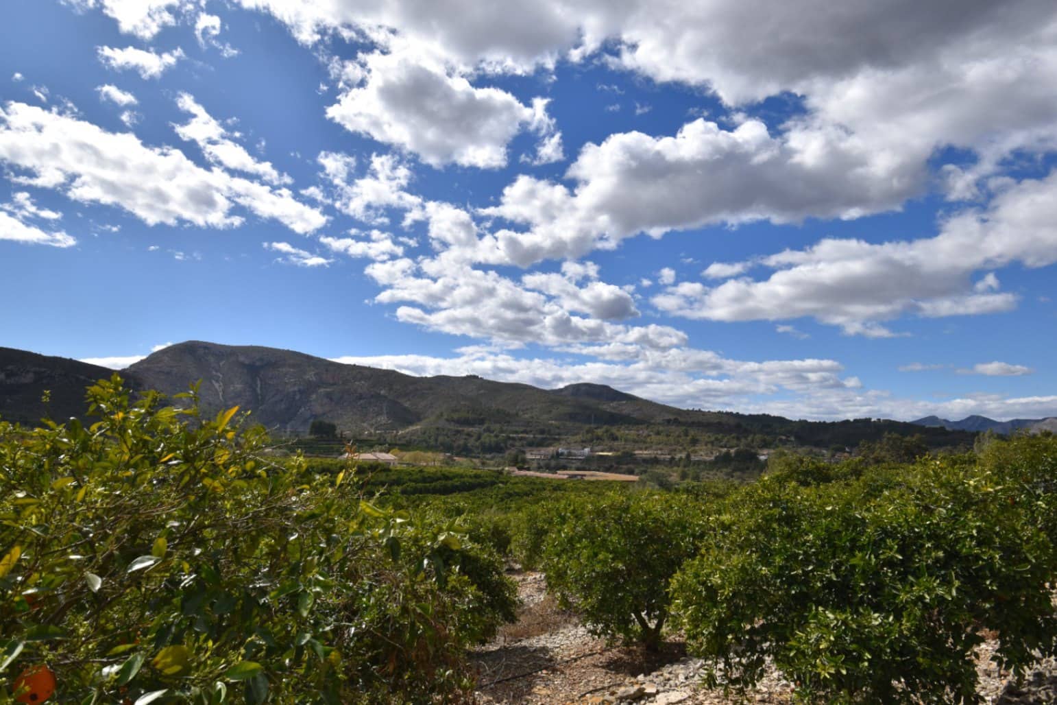 Finca/Casa Rural de 4 habitaciones en Gata de Gorgos en venta con piscina garaje - 2.250.000 € (Ref: 7664151)