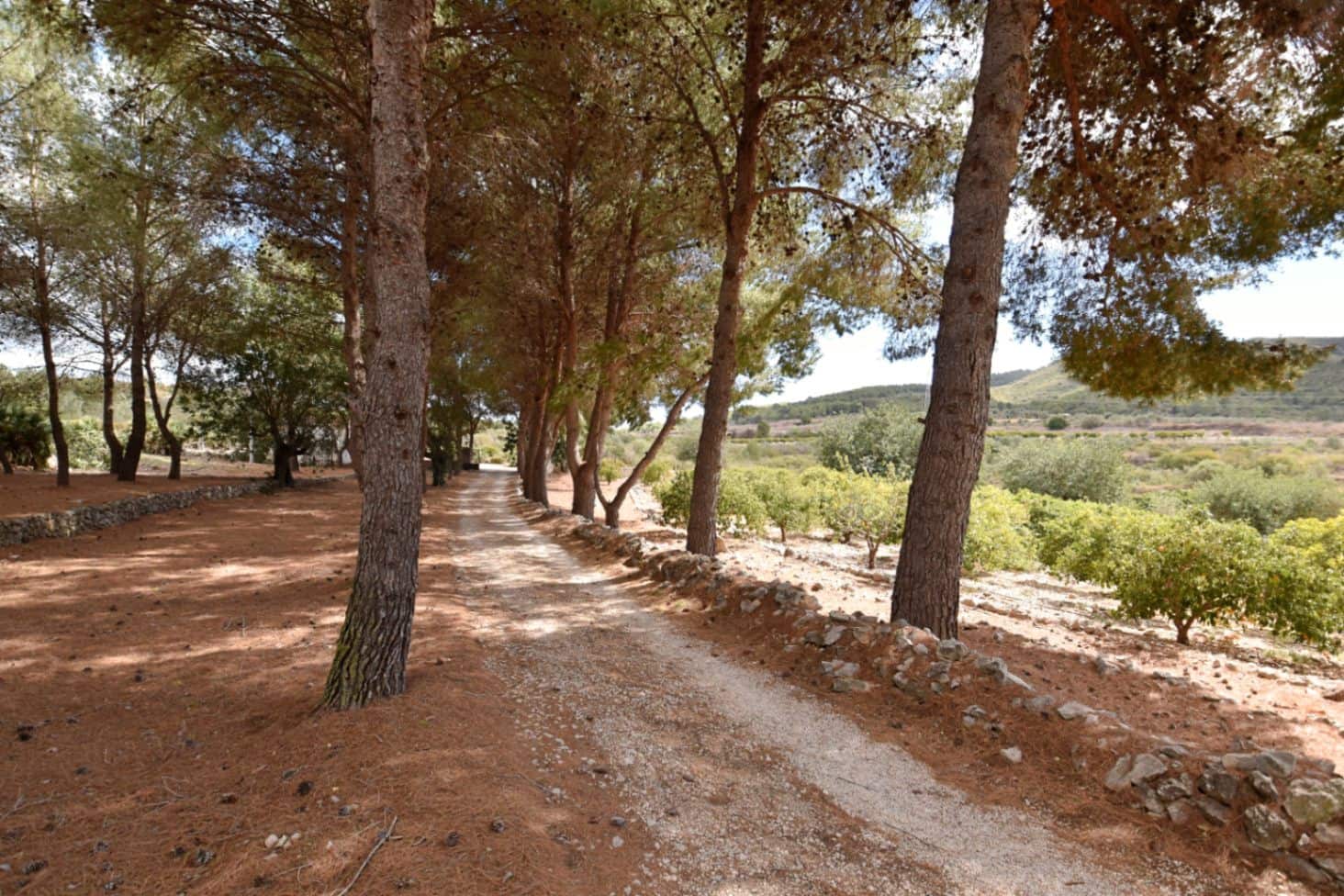 Finca/Casa Rural de 4 habitaciones en Gata de Gorgos en venta con piscina garaje - 2.250.000 € (Ref: 7664151)