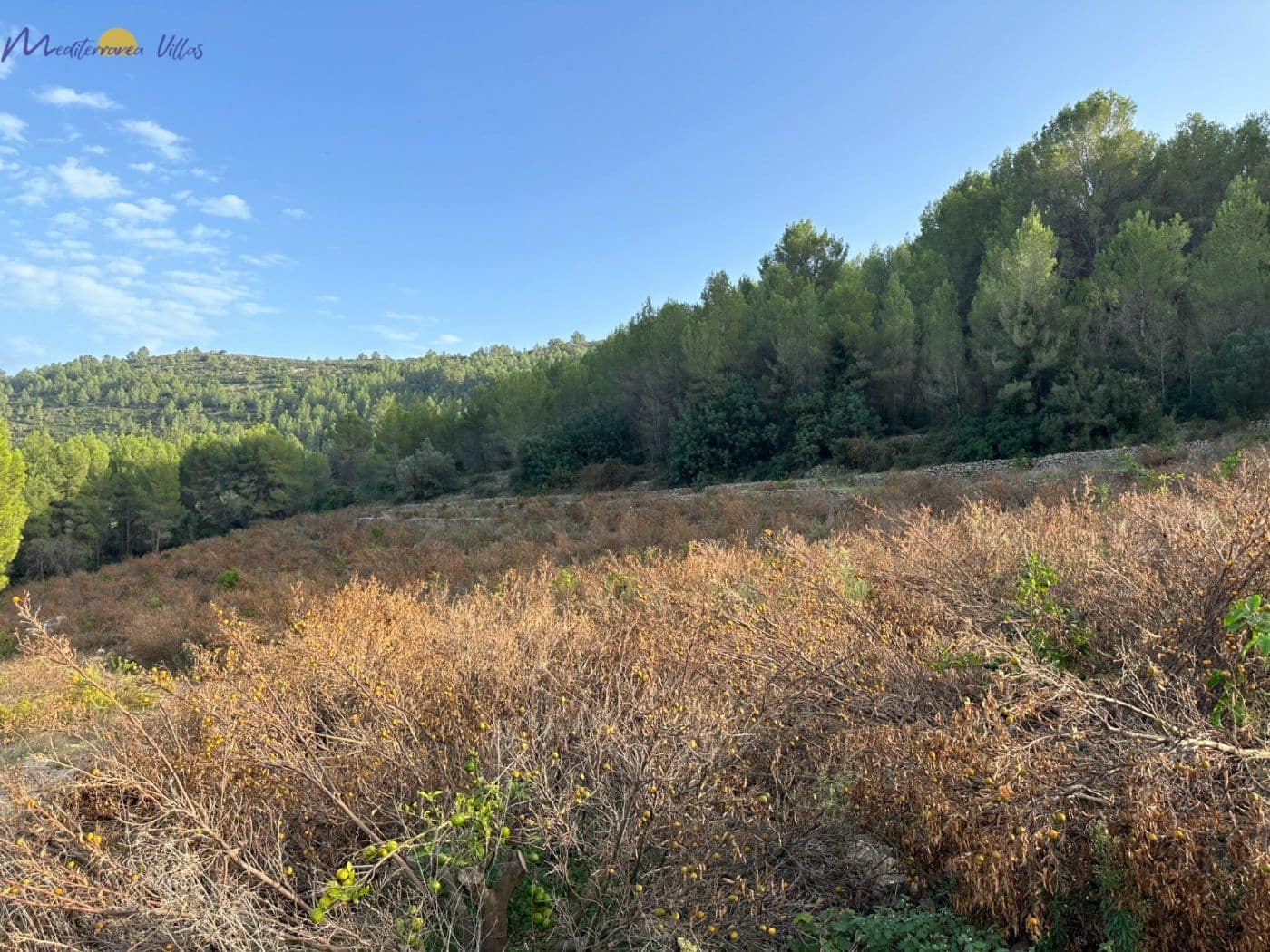 Byggetomt til salgs i Jalon / Xalo - € 345 000 (Ref: 7734606)