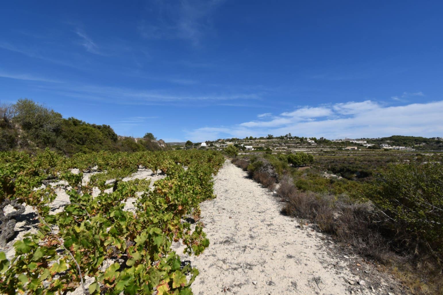 Bouwgrond te koop in Teulada - € 239.000 (Ref: 7770247)