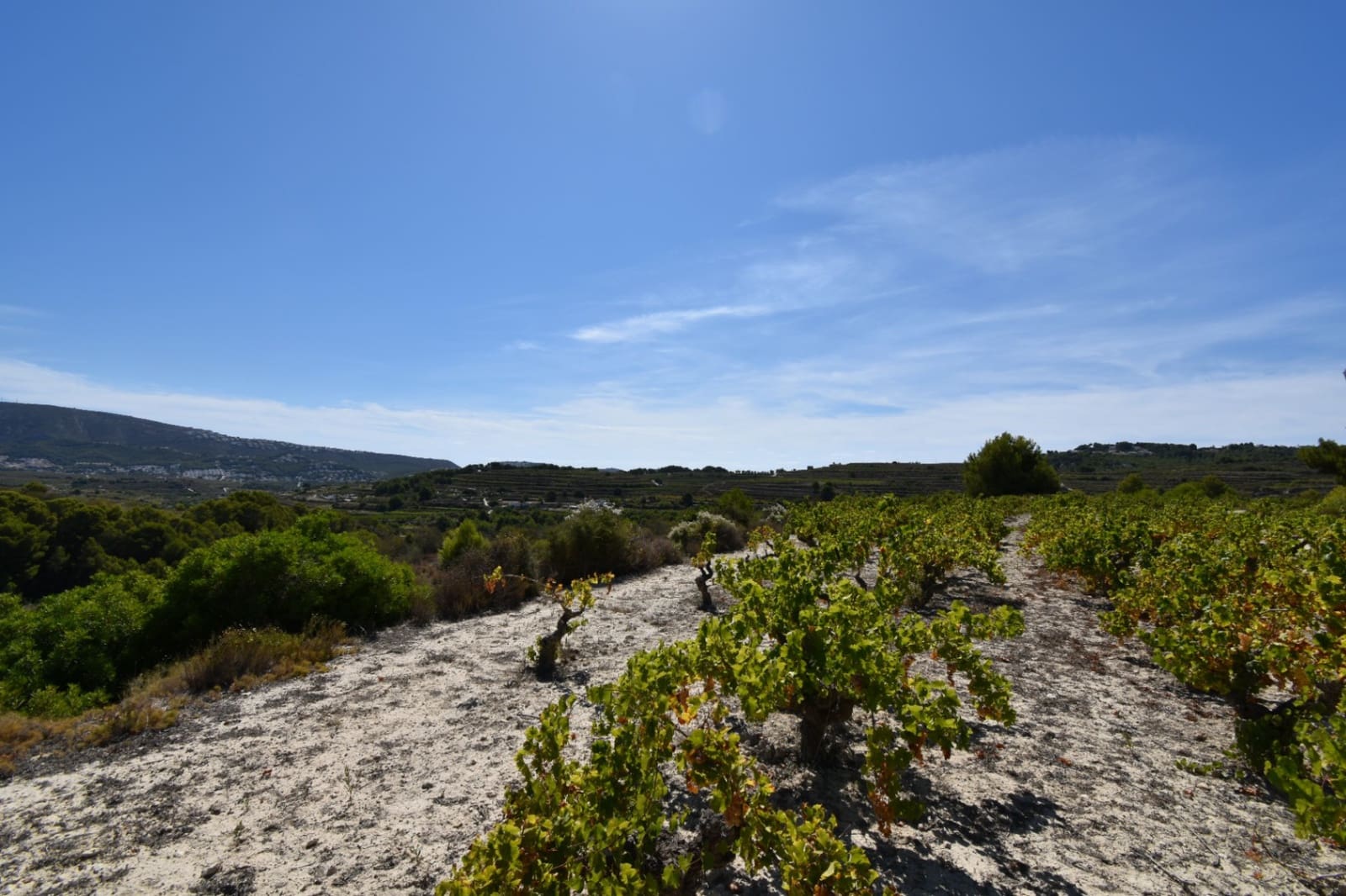 Bouwgrond te koop in Teulada - € 239.000 (Ref: 7770247)