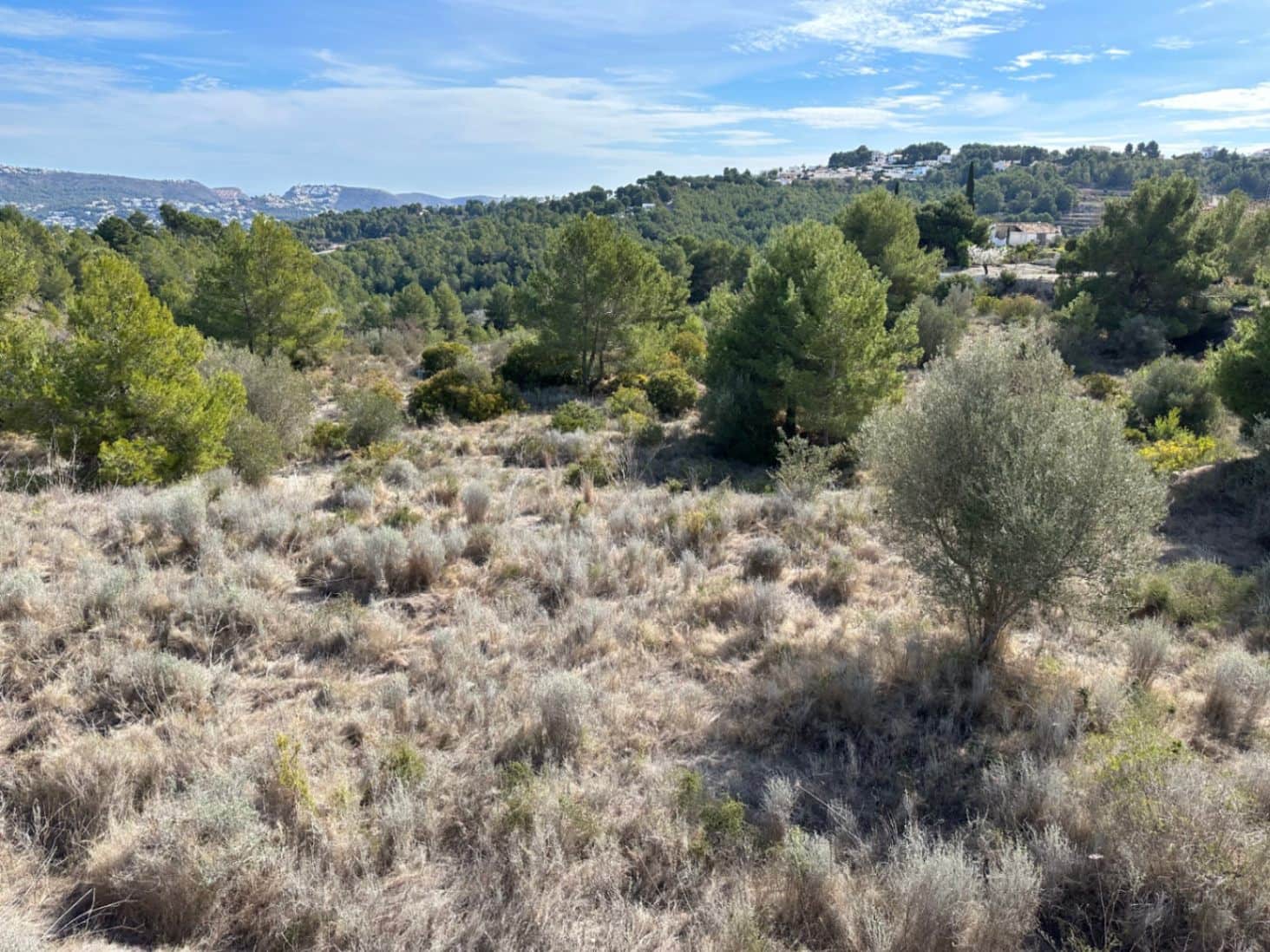 Bouwgrond te koop in Teulada - € 320.000 (Ref: 8148287)