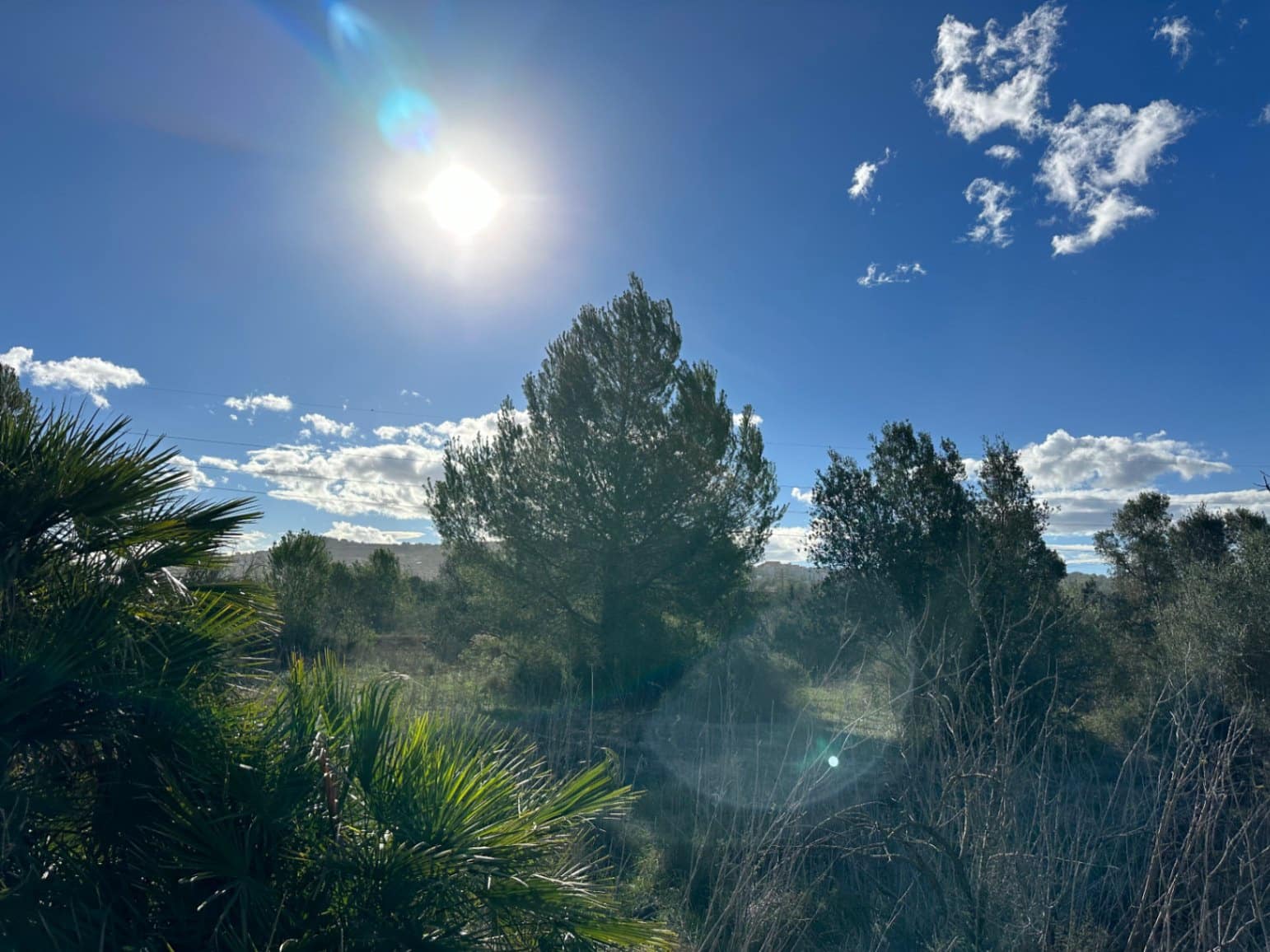 5 quarto Quinta/Casa Rural para venda em Teulada com garagem - 365 000 € (Ref: 8567479)