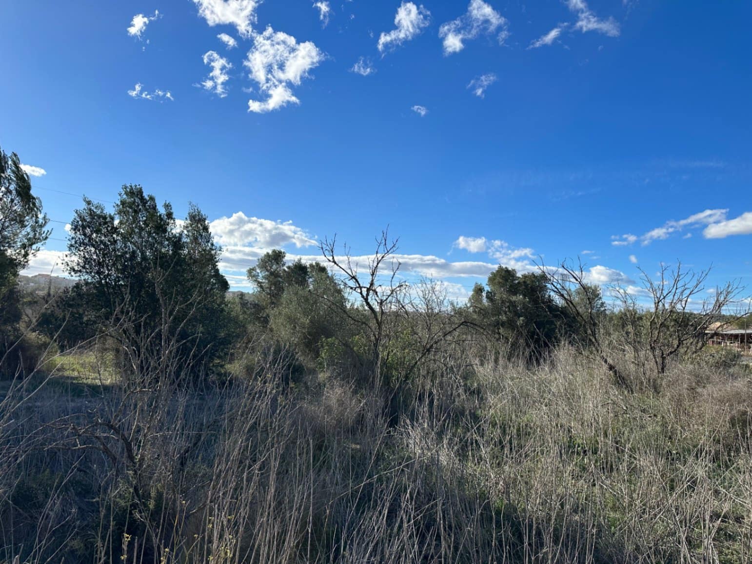 5 quarto Quinta/Casa Rural para venda em Teulada com garagem - 365 000 € (Ref: 8567479)