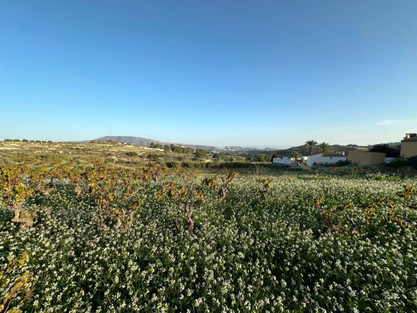 Grunde uden byggetilladelser til salg i Teulada - € 275.000 (Ref: 8664535)