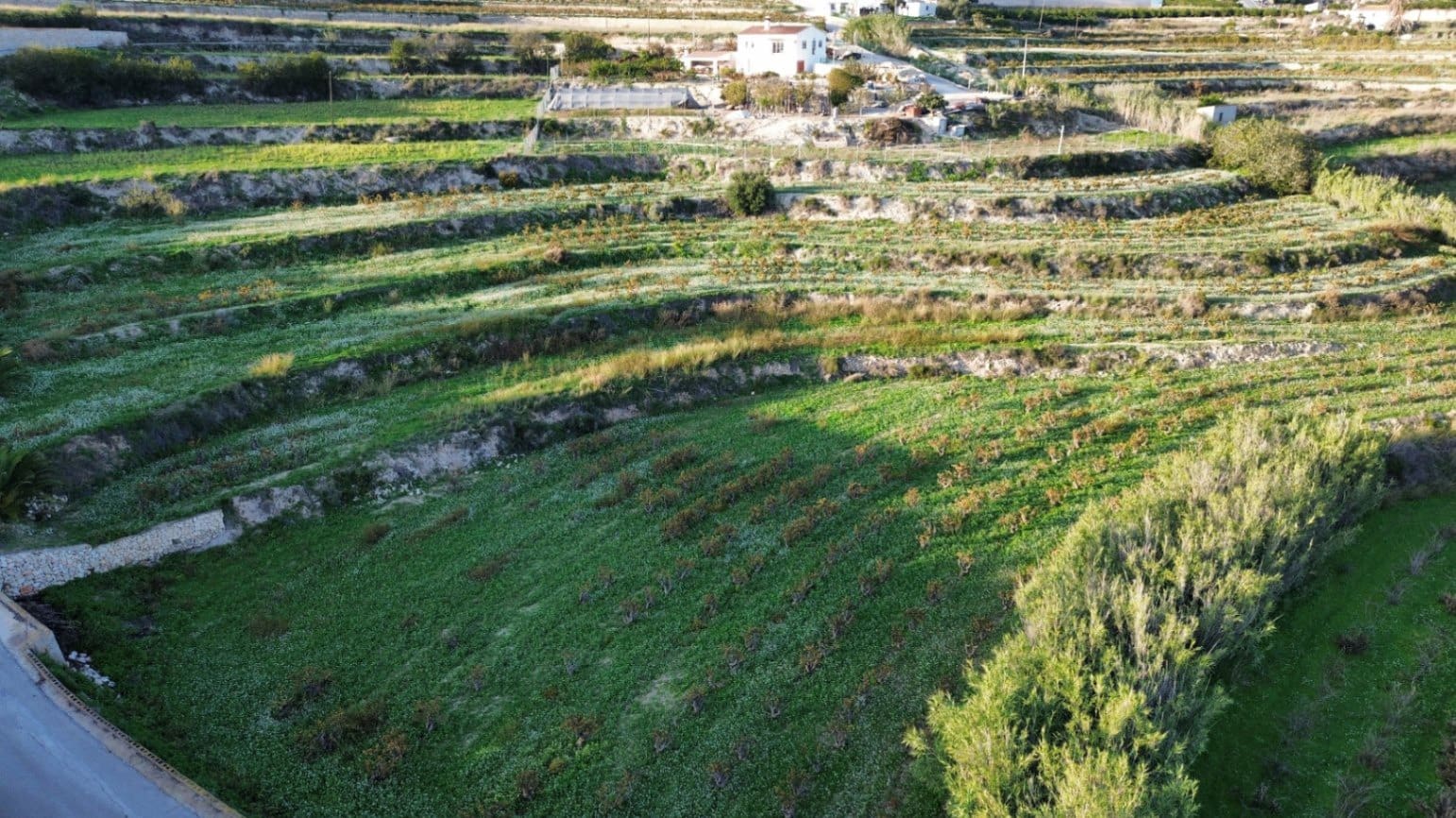 Grunde uden byggetilladelser til salg i Teulada - € 275.000 (Ref: 8664535)