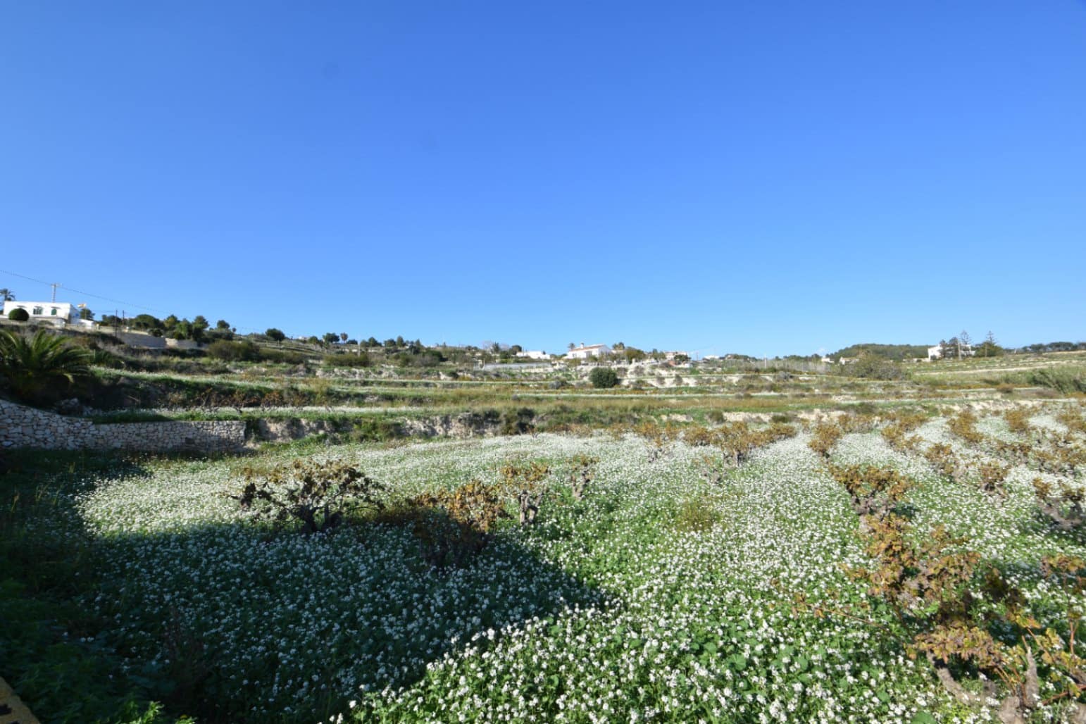 Grunde uden byggetilladelser til salg i Teulada - € 275.000 (Ref: 8664535)