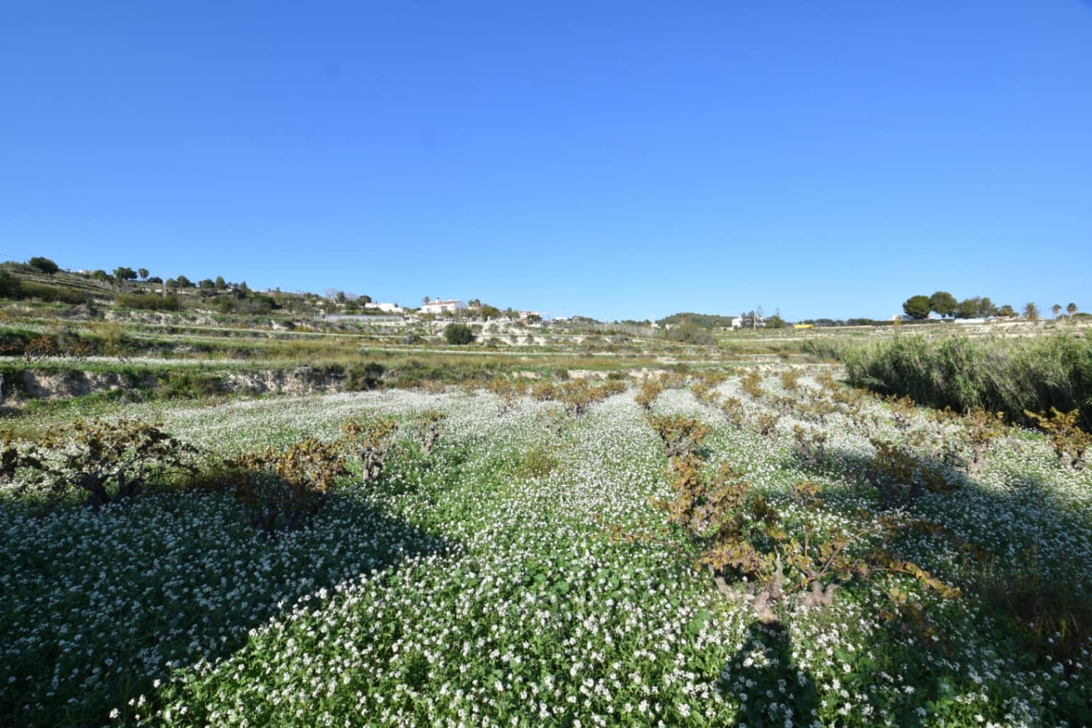 Grunde uden byggetilladelser til salg i Teulada - € 275.000 (Ref: 8664535)