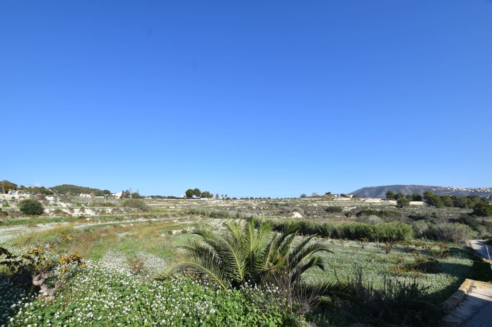 Grunde uden byggetilladelser til salg i Teulada - € 275.000 (Ref: 8664535)