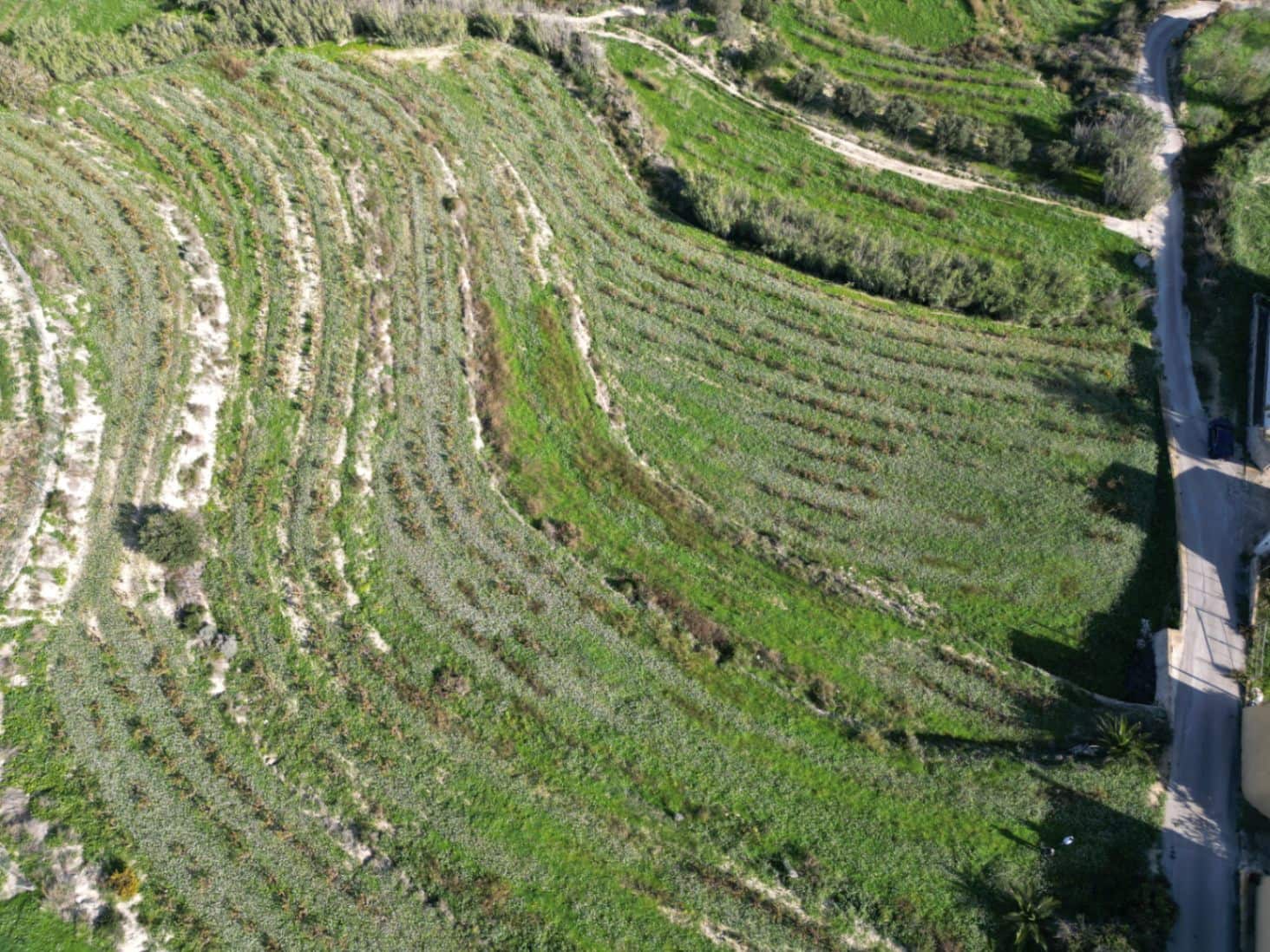 Grunde uden byggetilladelser til salg i Teulada - € 275.000 (Ref: 8664535)