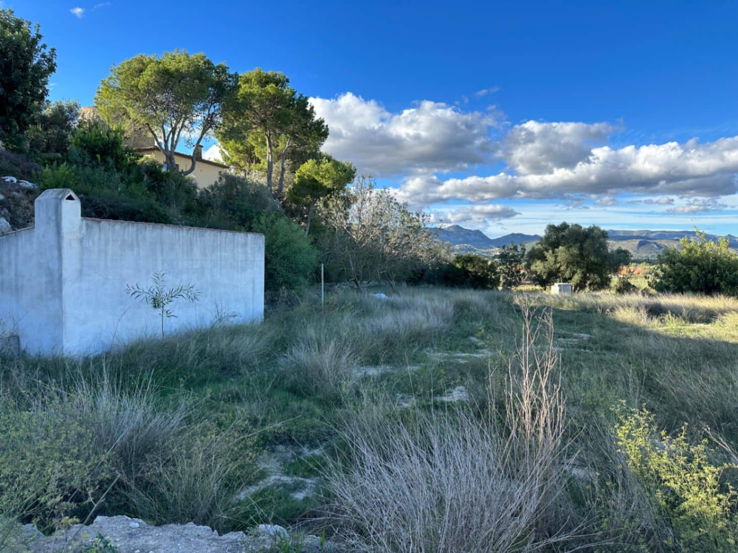 Terreno/Finca Rústica en Dénia en venta - 215.000 € (Ref: 8669121)