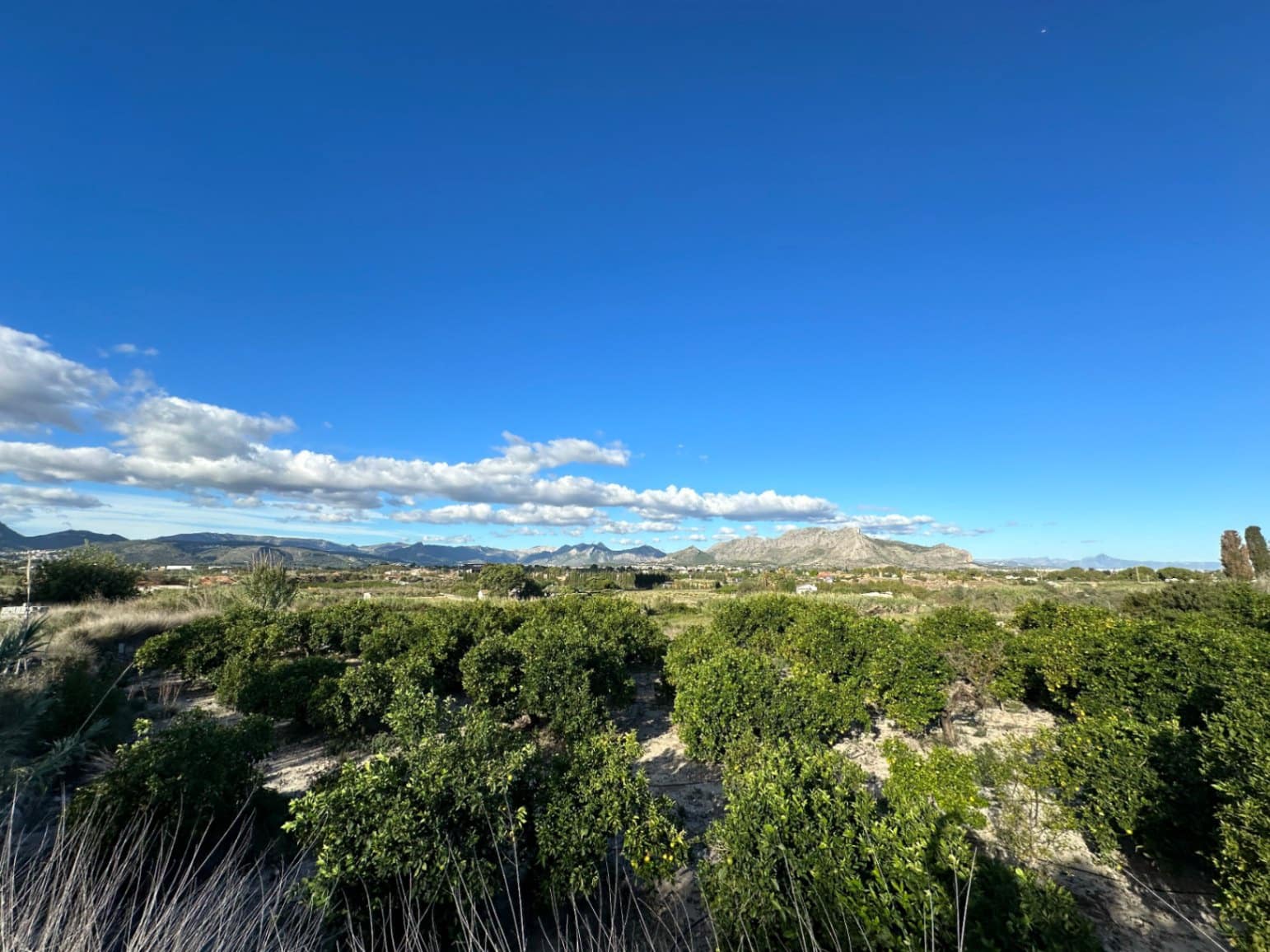 Terreno/Finca Rústica en Dénia en venta - 215.000 € (Ref: 8669121)