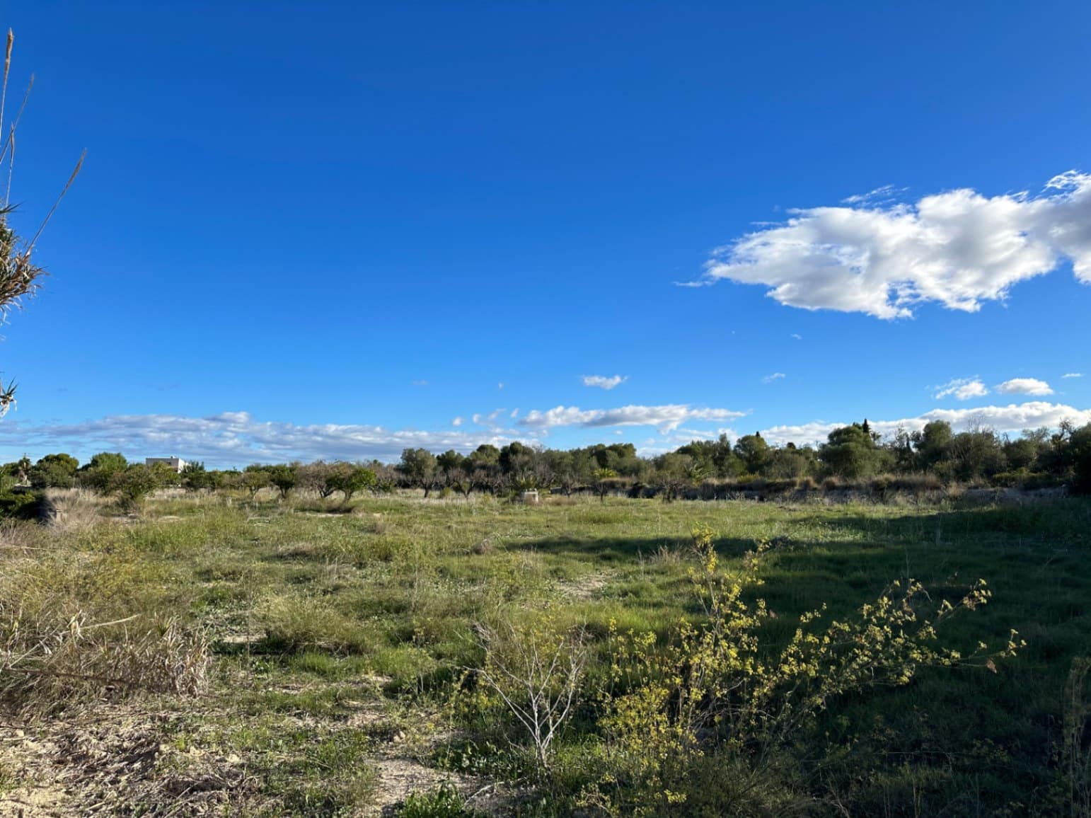 Terreno/Finca Rústica en Dénia en venta - 215.000 € (Ref: 8669121)