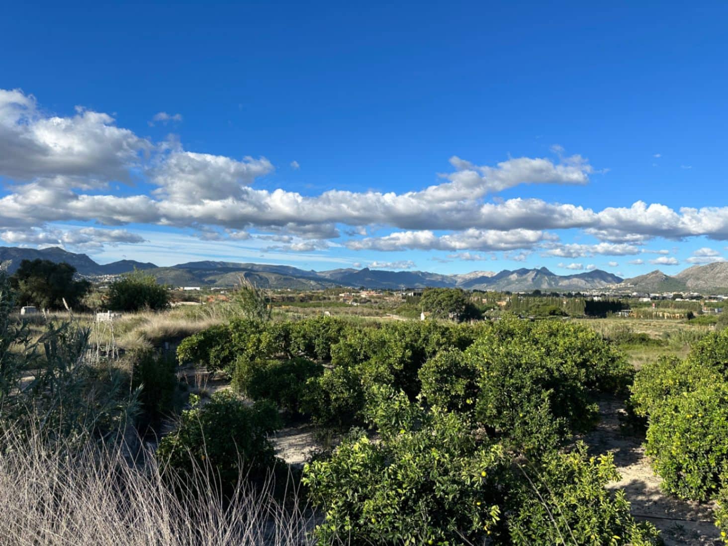 Terreno/Finca Rústica en Dénia en venta - 215.000 € (Ref: 8669121)