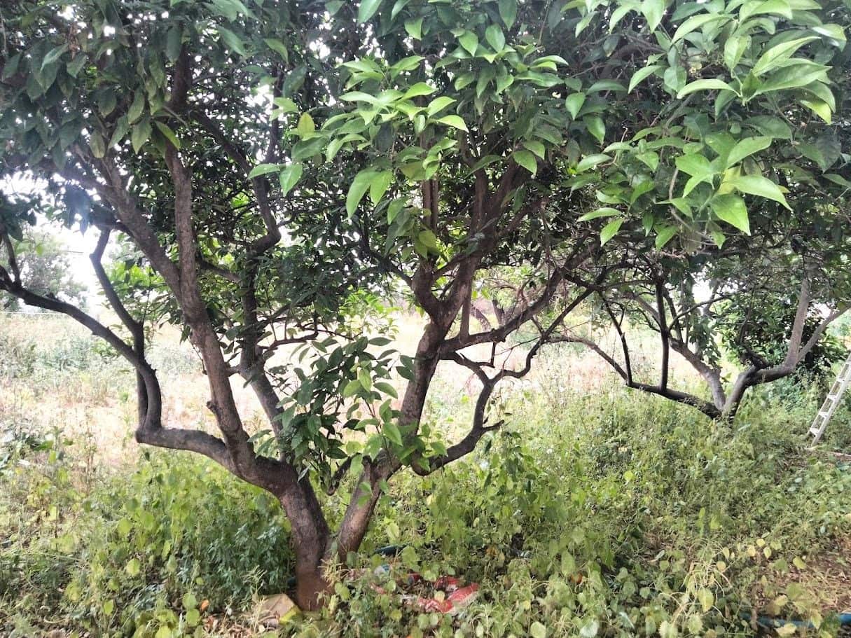 9 camera da letto Villa in vendita in Denia con piscina garage - 639.000 € (Rif: 9163048)